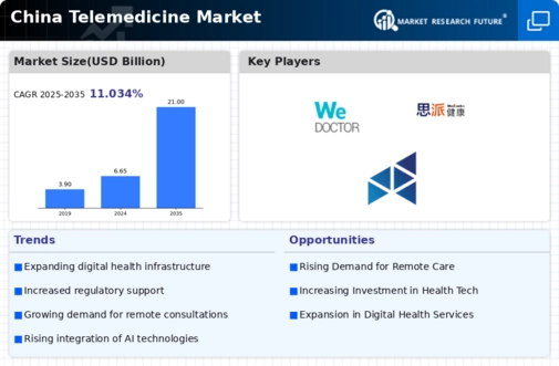 China Telemedicine Market Research Report-Forecast to 2035 Infographic