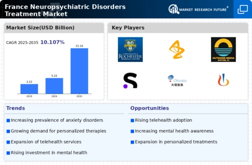 France Neuropsychiatric Disorders Treatment Market Research Report - Forecast to 2035 Infographic