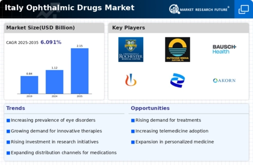 Italy Ophthalmic Drugs Market
 Research Report - Forecast to 2035 Infographic