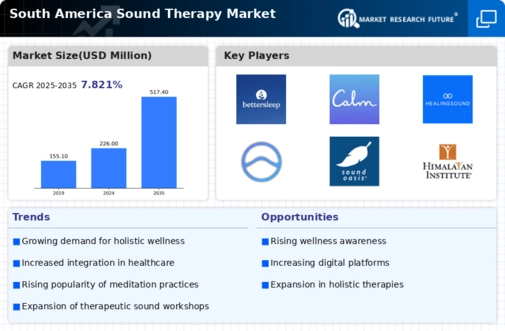 South America Sound Therapy Market Research Report — Forecast till 2035 Infographic
