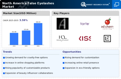 North America False Eyelashes Market Research Report Forecast to 2035 Infographic
