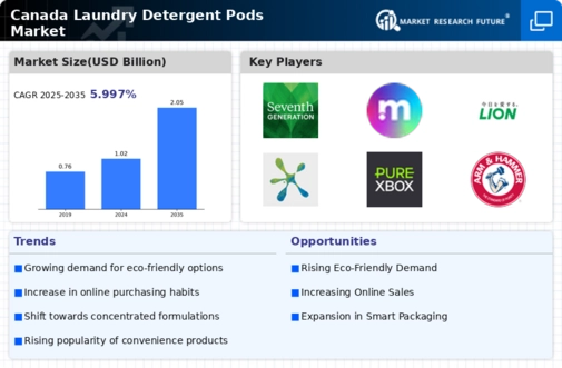 Canada Laundry Detergent Pods Market Research Report - Forecast Till 2035 Infographic