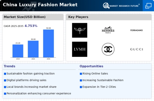 China Luxury Fashion Market Research Report - Forecast Till 2035 Infographic