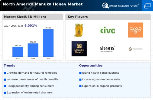 North America Manuka Honey Market Research Report — Forecast till 2035 Infographic