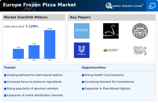 Europe Frozen Pizza Market Research Report — Forecast till 2035 Infographic