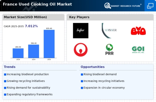 France Used Cooking Oil Market Research Report-Forecast to 2035 Infographic
