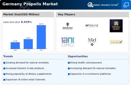 Germany Propolis Market Infographic