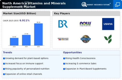North America Vitamins Minerals Supplement Market Research Report - Forecast Till 2035 Infographic
