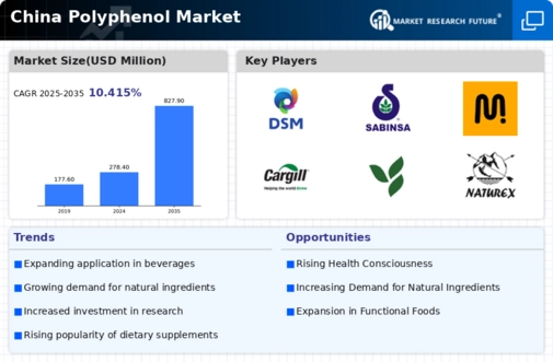 China Polyphenol Market Infographic