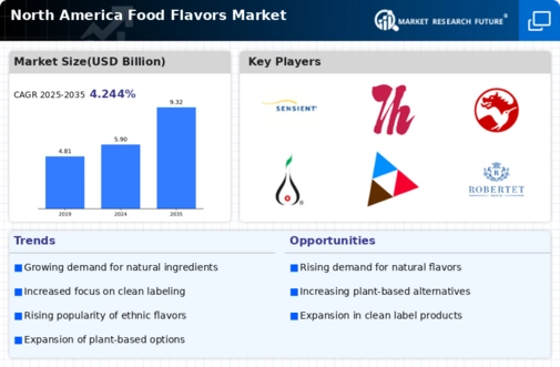North America Food Flavors Market Research Report — Forecast till 2035 Infographic