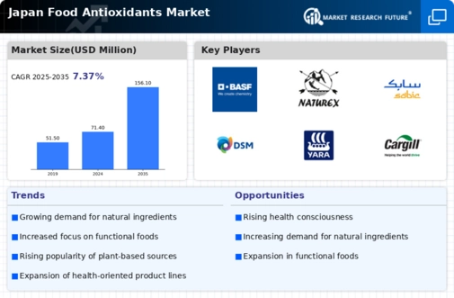 Japan Food Antioxidants Market Research Report — Forecast till 2035 Infographic