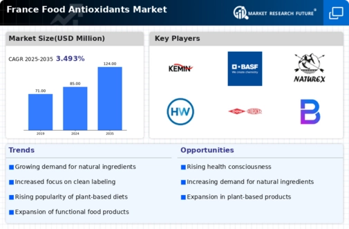France Food Antioxidants Market Research Report — Forecast till 2035 Infographic