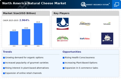 North America Natural Cheese Market Research Report — Forecast till 2035 Infographic