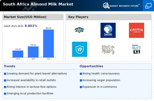 South Africa Almond Milk Market Research Report - Forecast Till 2035 Infographic