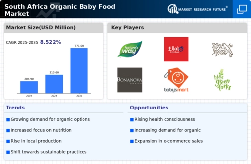 South Africa Organic Baby Food Market Research Report- Forecast to 2035 Infographic