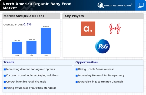 North America Organic Baby Food Market Research Report- Forecast to 2035 Infographic