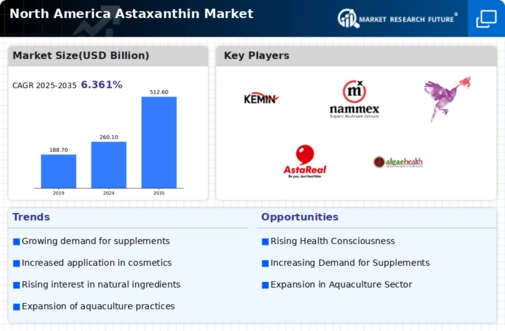 North America Astaxanthin Market Infographic