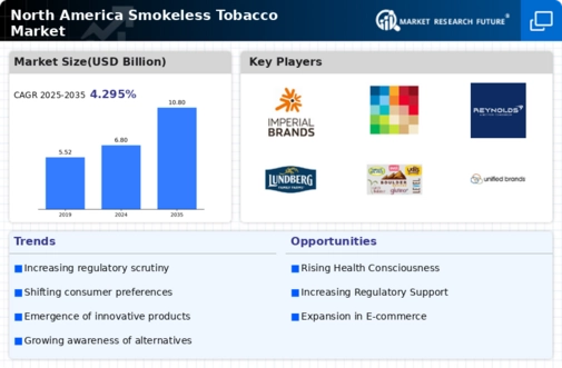 North America Smokeless Tobacco Market Research Report-Forecast to 2035 Infographic