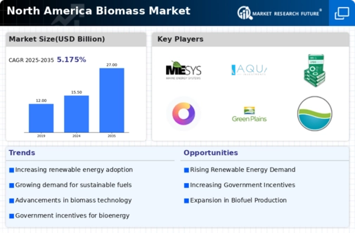 North America Biomass Market Research Report - Forecast 2035 Infographic