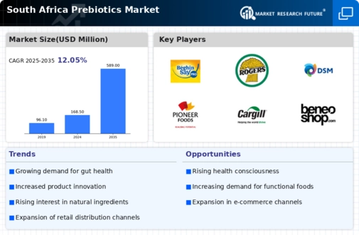 South Africa Prebiotics Market Research Report Forecast till 2035 Infographic