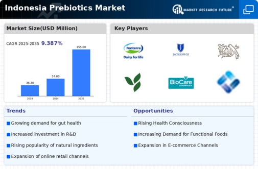Indonesia Prebiotics Market Research Report Forecast till 2035 Infographic