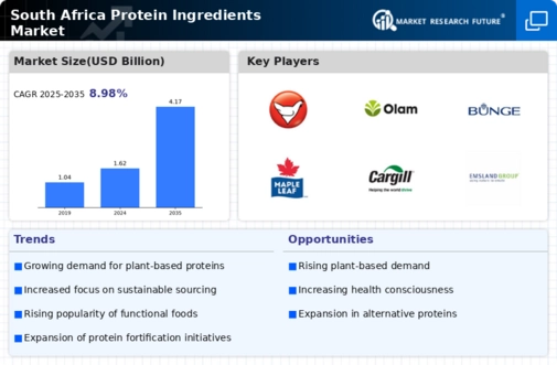 South Africa Protein Ingredients Market Infographic