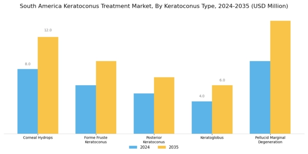 South America Keratoconus Treatment Market Segment Image 0