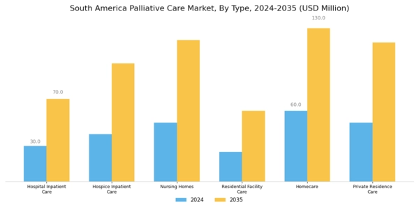 South America Palliative Care Market Segment Image 0