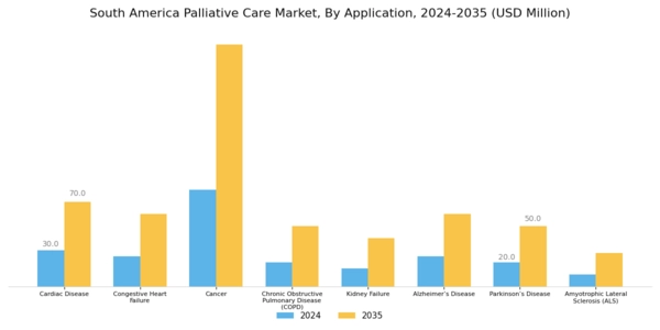 South America Palliative Care Market Segment Image 2