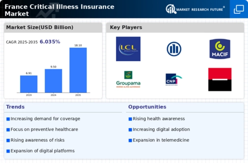 France Critical Illness Insurance Market Infographic