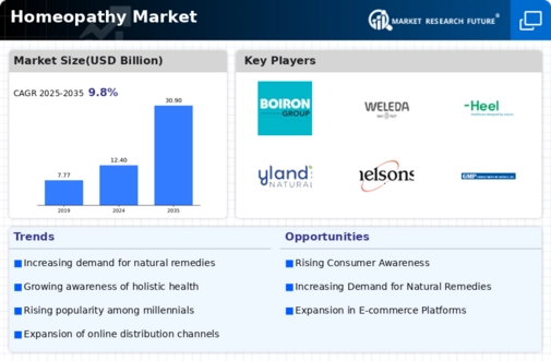 Homeopathy Market Research Report - Forecast till 2032 Infographic