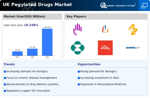 UK Pegylated Drugs Market Infographic