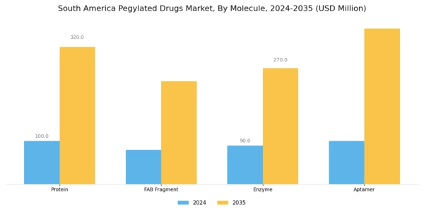 South America Pegylated Drugs Market Segment Image 0