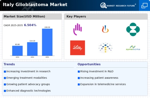 Italy Glioblastoma Market Research Report — Forecast till 2035 Infographic