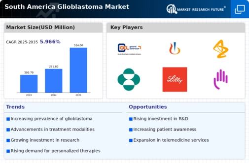South America Glioblastoma Market Infographic