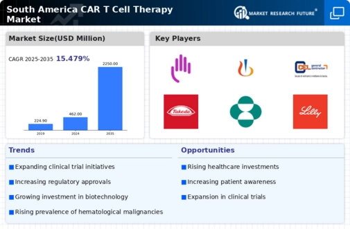 South America Car T Cell Therapy Market Research Report - Forecast to 2035 Infographic