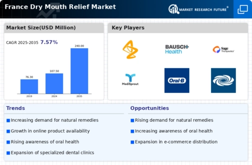 France Dry Mouth Relief Market Research Report-Forecast to 2035 Infographic