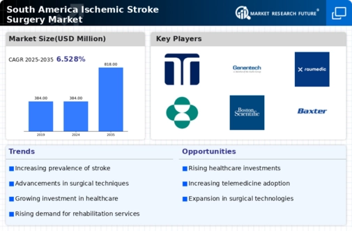 South America Ischemic Stroke Surgery Market Research Report - Forecast to 2035 Infographic