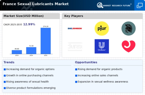 France Sexual Lubricants Market Research Report- Forecast to 2035 Infographic