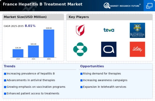 France Hepatitis B Treatment Market Research Report — Global Forecast till 2035 Infographic