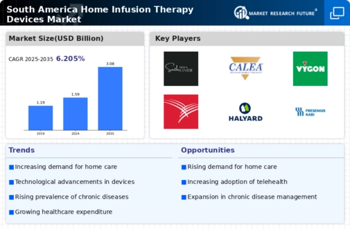 South America Home Infusion Therapy Devices Market Research Report - Forecast to 2035 Infographic