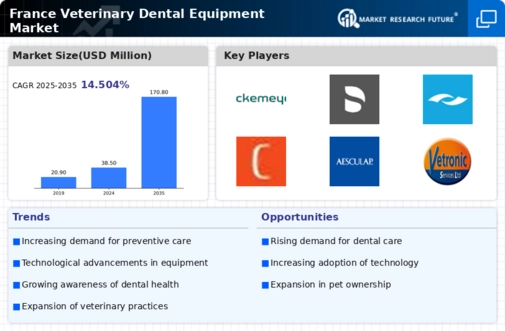 France Veterinary Dental Equipment Market Research Report- Forecast to 2035 Infographic