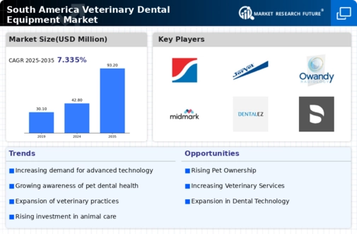 South America Veterinary Dental Equipment Market Research Report- Forecast to 2035 Infographic