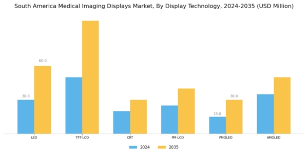 South America Medical Imaging Displays Market Segment Image 0