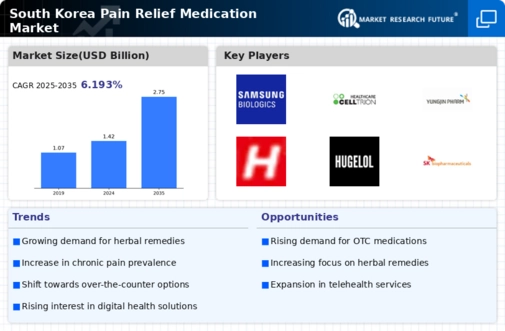 South Korea Pain Relief Medication Market 
Research Report- Forecast to 2035 Infographic