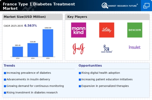 France Type 1 Diabetes Treatment Market Research Report- Forecast to 2035 Infographic