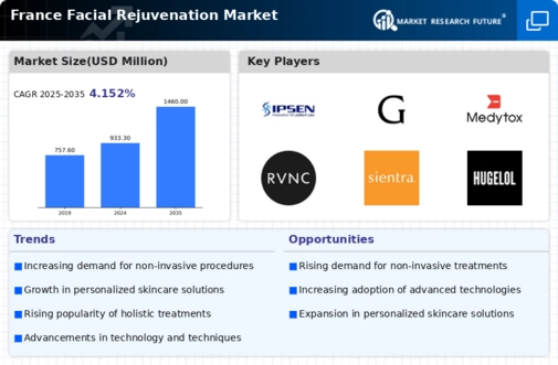 France Facial Rejuvenation Market Infographic