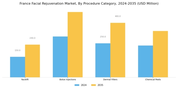 France Facial Rejuvenation Market Segment Image 1