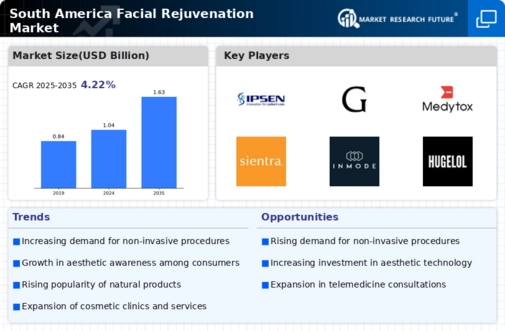 South America Facial Rejuvenation Market Infographic