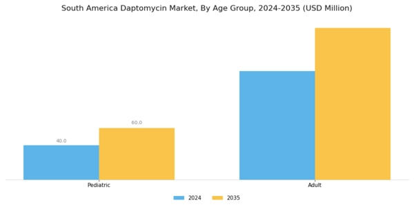 South America Daptomycin Market Segment Image 1